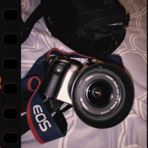 Meet your Posher, Rain